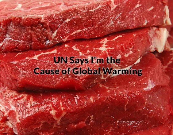 UN Calls for Reduced Beef Consumption