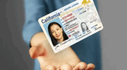 REAL ID Deadline Chaos: Why Millions of Americans Are Still Unprepared to Fly in 2025