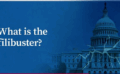 The Filibuster Dilemma: Balancing Policy and Politics in the U.S. Senate